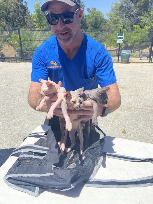 Low Cost Pet Vaccines Eagle Rock Dog Park NO APPOINTMENT EVER NEEDED! Picture 1