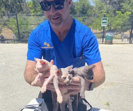 Low Cost Pet Vaccines Eagle Rock Dog Park NO APPOINTMENT EVER NEEDED!