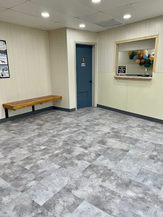 South Pasadena Animal Hospital Picture 5
