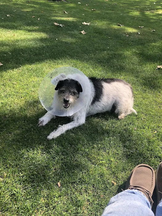 South Pasadena Animal Hospital Picture 7