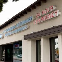 VCA TLC Pasadena Veterinary Specialty and Emergency ico