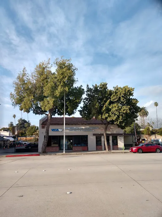 VCA TLC Pasadena Veterinary Specialty and Emergency Picture 4
