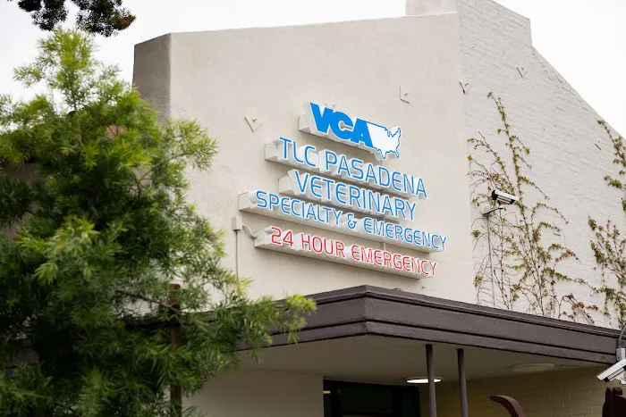 VCA TLC Pasadena Veterinary Specialty and Emergency Picture 6