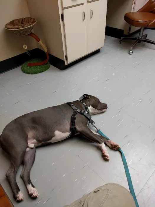 Animal Health Care Center Picture 2