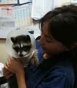 Animal Health Care Center Picture 7