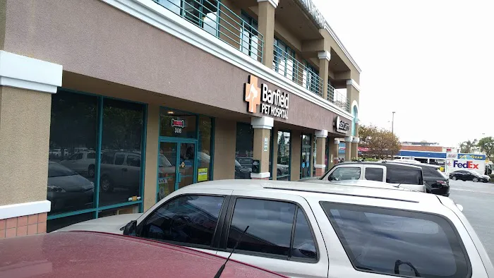 Banfield Pet Hospital Picture 1