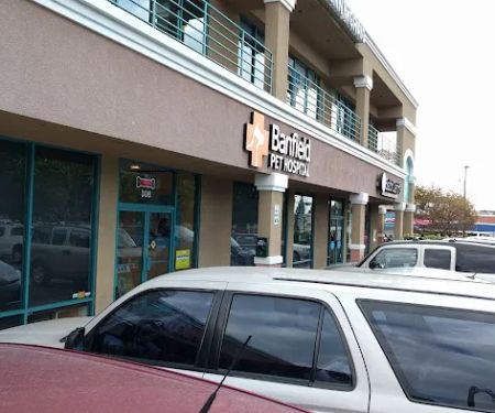 Banfield Pet Hospital