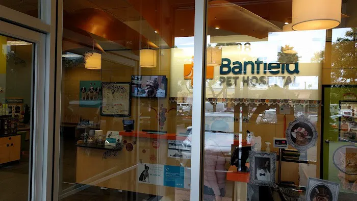 Banfield Pet Hospital Picture 8