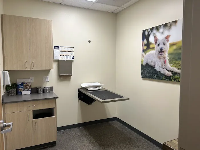 Vetco Total Care Animal Hospital Picture 2