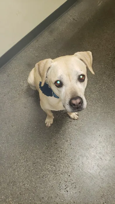 Vetco Total Care Animal Hospital Picture 4