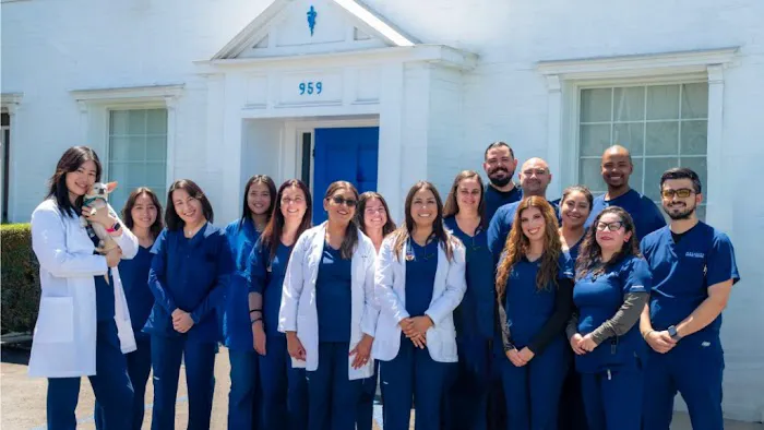 Petsadena Animal Hospital Picture 1