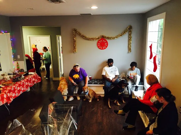 Petsadena Animal Hospital Picture 10