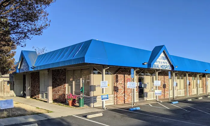 VCA Vets & Pets Animal Hospital Picture 2