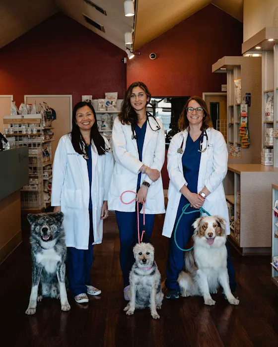 VCA Vets & Pets Animal Hospital Picture 1