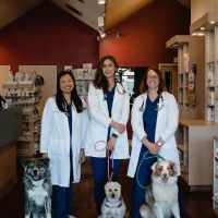 VCA Vets & Pets Animal Hospital ico