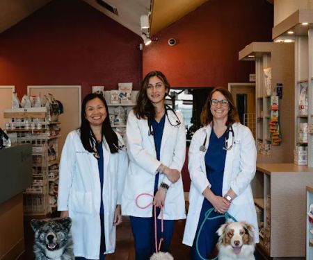 VCA Vets & Pets Animal Hospital