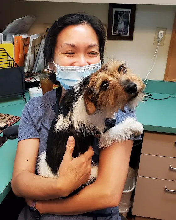 VCA Vets & Pets Animal Hospital Picture 3