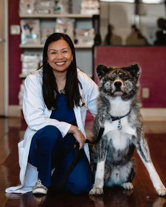 VCA Vets & Pets Animal Hospital Picture 5