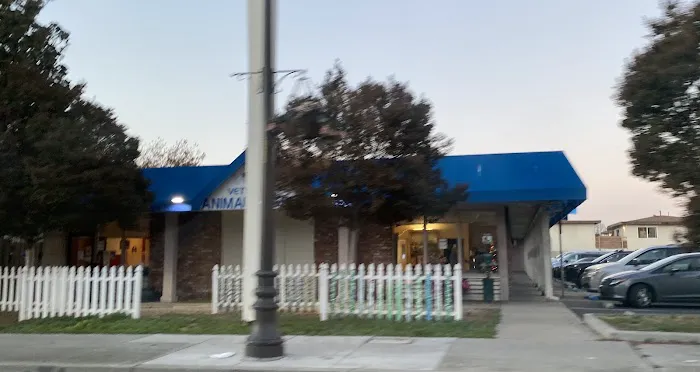 VCA Vets & Pets Animal Hospital Picture 9