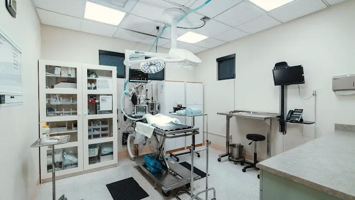VCA Lawrence Animal Hospital Picture 1