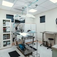 VCA Lawrence Animal Hospital ico