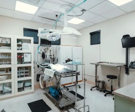 VCA Lawrence Animal Hospital
