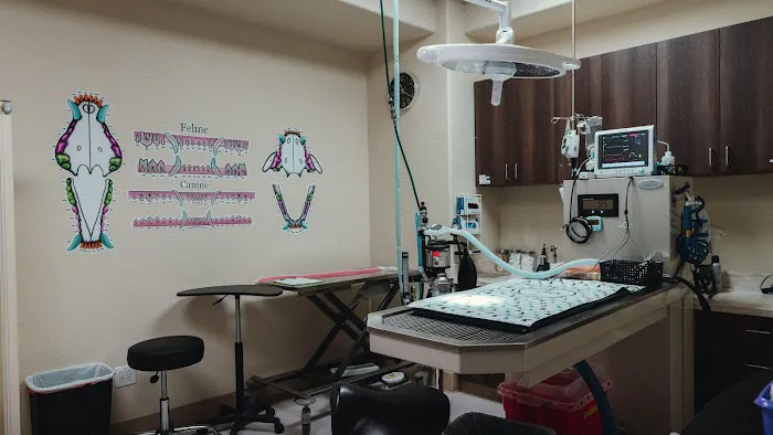 VCA Lawrence Animal Hospital Picture 7
