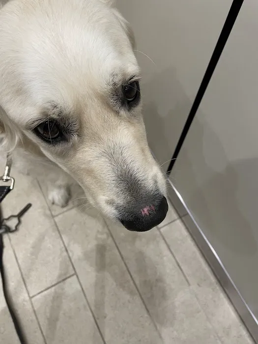VCA Lawrence Animal Hospital Picture 9