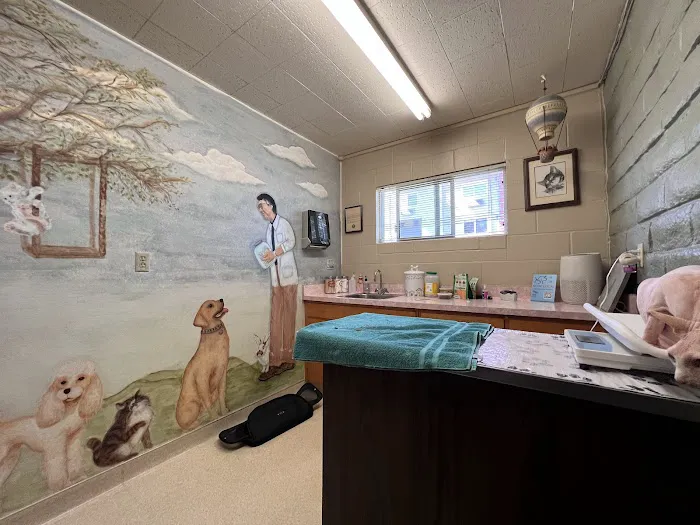 Arroyo Animal Clinic Picture 9
