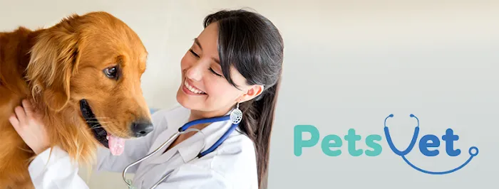 PetsVet Veterinary Hospital Picture 2