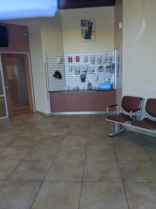 Canyon Creek Pet Hospital Picture 4