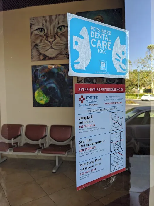 Canyon Creek Pet Hospital Picture 6