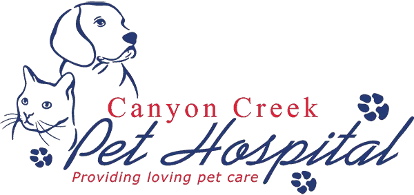 Canyon Creek Pet Hospital Picture 9