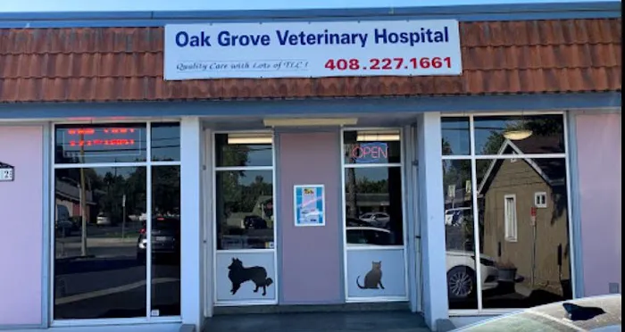 Oak Grove Veterinary Hospital Picture 3