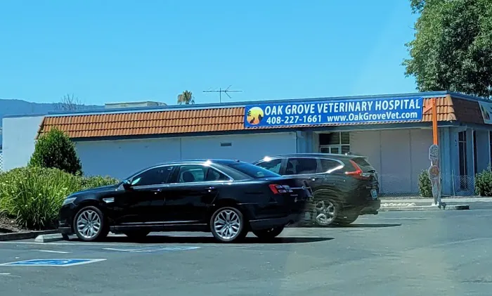 Oak Grove Veterinary Hospital Picture 5