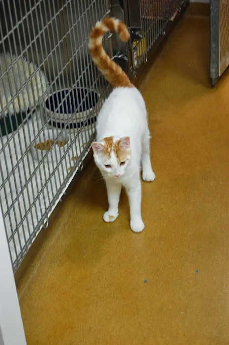 Oak Grove Veterinary Hospital Picture 7