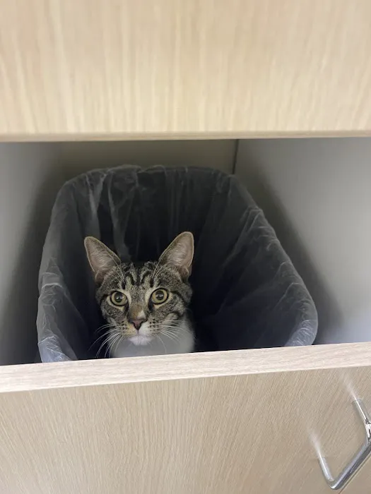 Vetco Total Care Animal Hospital Picture 8