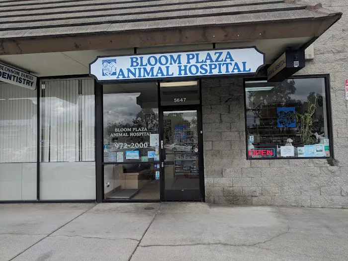 Bloom Plaza Animal Hospital Picture 2