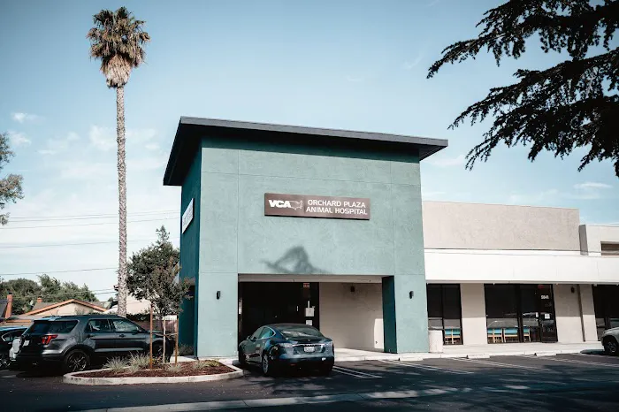 VCA Orchard Plaza Animal Hospital Picture 3