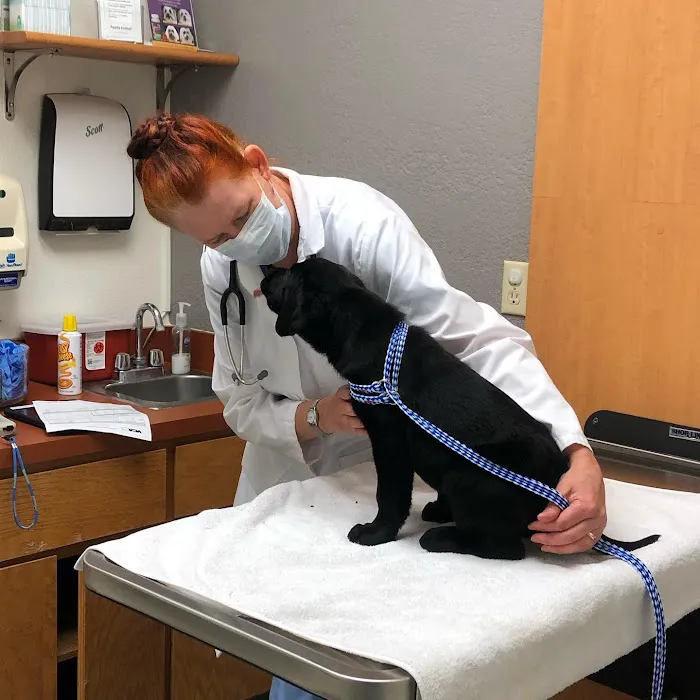 VCA Orchard Plaza Animal Hospital Picture 4