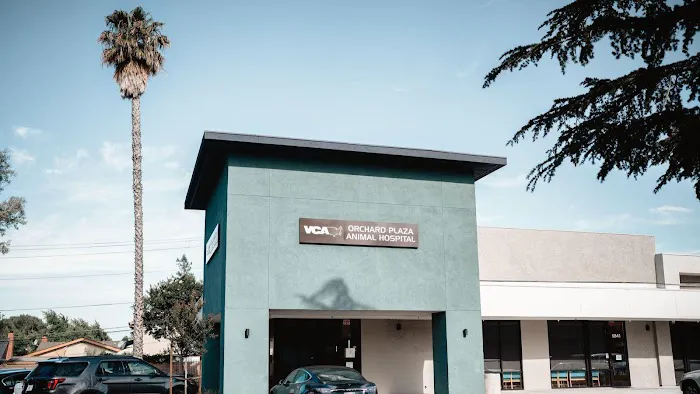 VCA Orchard Plaza Animal Hospital Picture 2