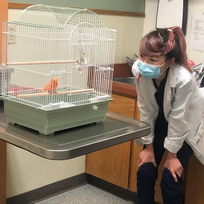 VCA Orchard Plaza Animal Hospital Picture 6