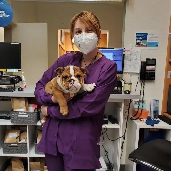 VCA Orchard Plaza Animal Hospital Picture 8