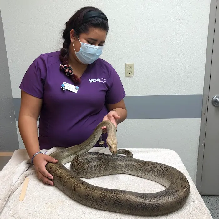 VCA Orchard Plaza Animal Hospital Picture 9