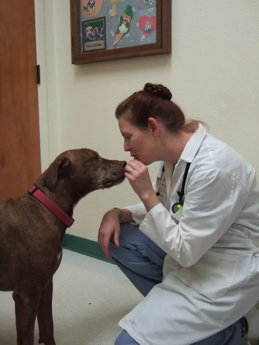 VCA Orchard Plaza Animal Hospital Picture 7