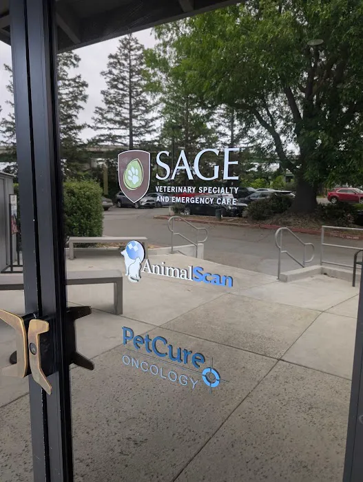 PetCure Oncology at SAGE Veterinary Centers Picture 5