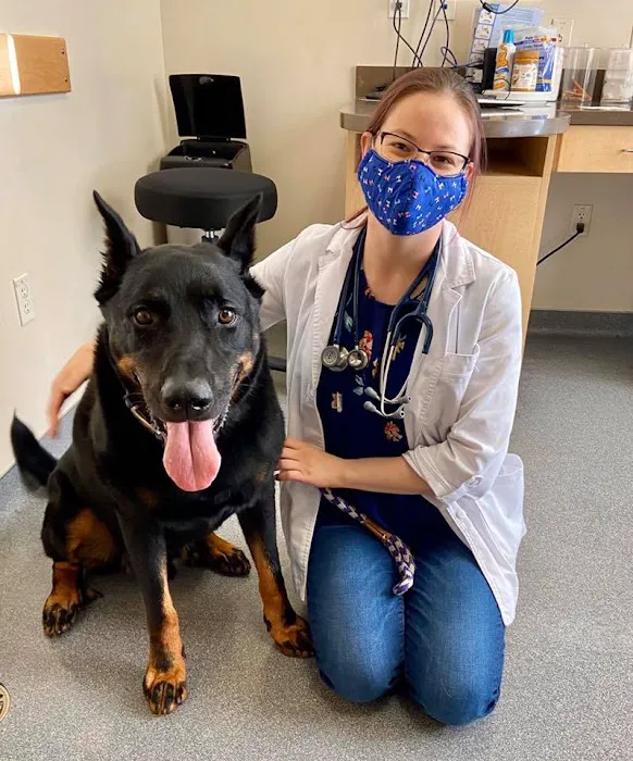 VCA Pinnacle Animal Hospital Picture 3