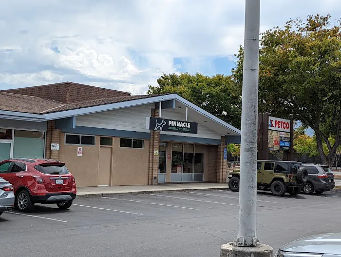 VCA Pinnacle Animal Hospital Picture 2