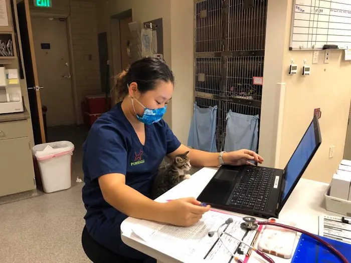 VCA Pinnacle Animal Hospital Picture 7
