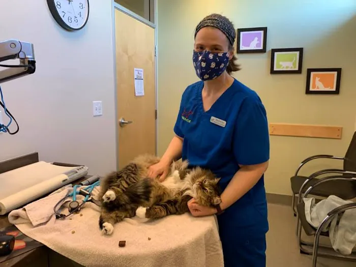 VCA Pinnacle Animal Hospital Picture 10